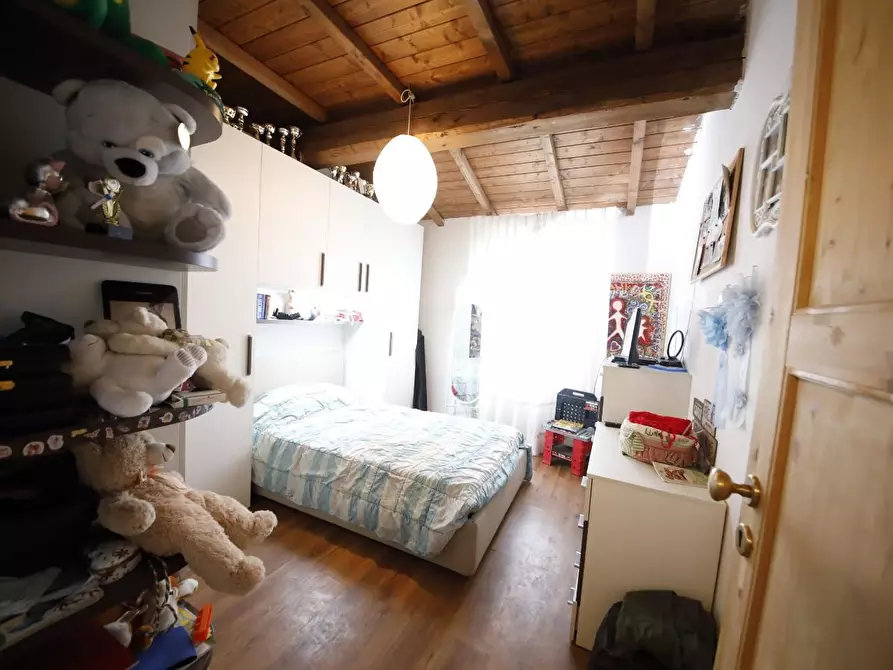Immagine 30 di Casa colonica in vendita  a Fauglia