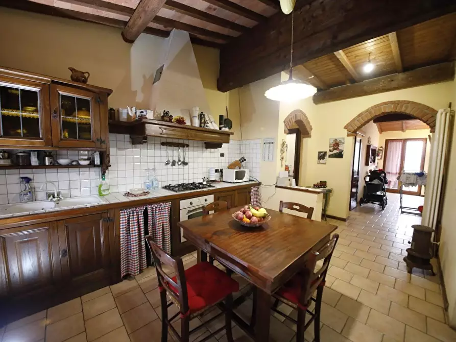 Immagine 14 di Casa colonica in vendita  a Fauglia