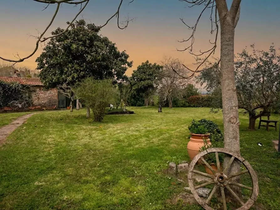 Immagine 6 di Casa colonica in vendita  a Fauglia