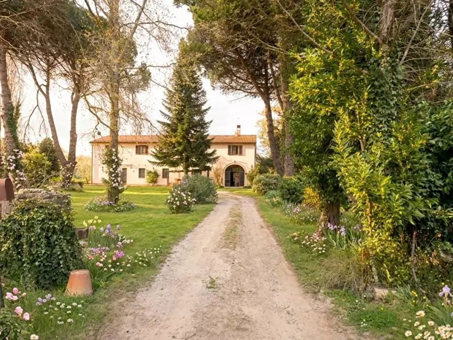 Immagine 1 di Casa colonica in vendita  a Fauglia