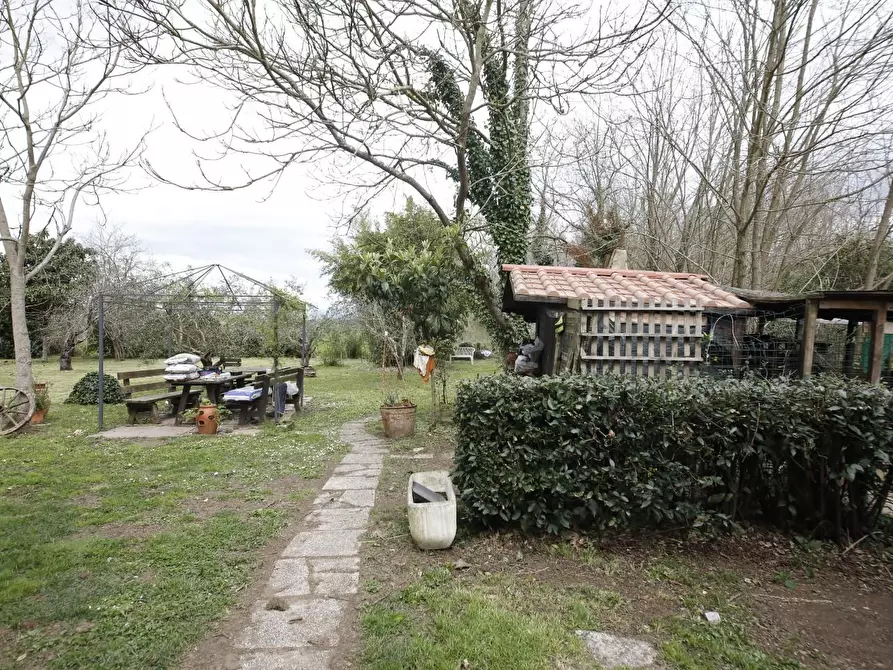 Immagine 36 di Casa colonica in vendita  a Fauglia