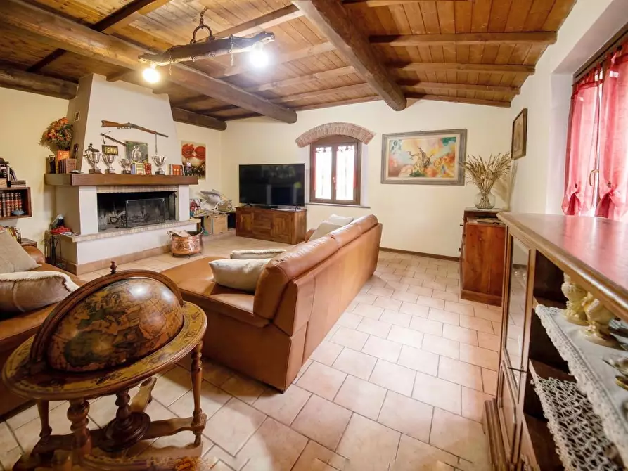 Immagine 19 di Casa colonica in vendita  a Fauglia
