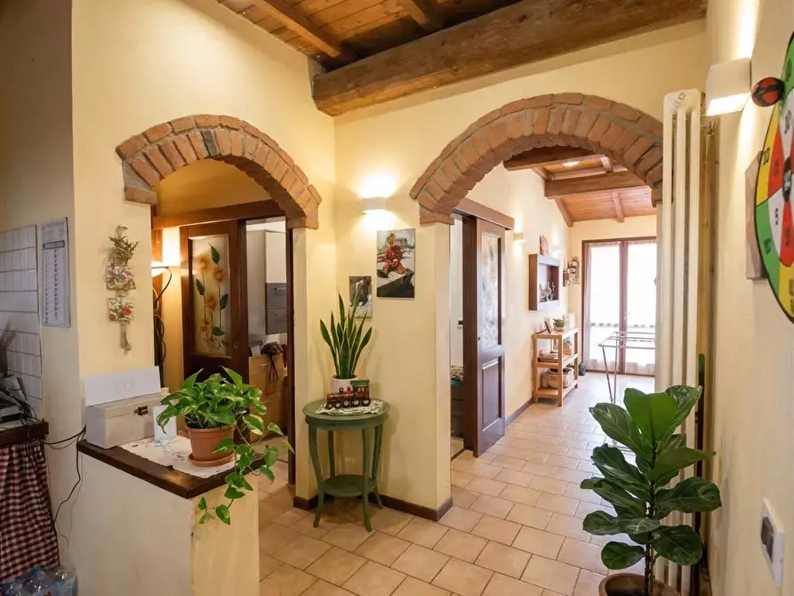 Immagine 8 di Casa colonica in vendita  a Fauglia