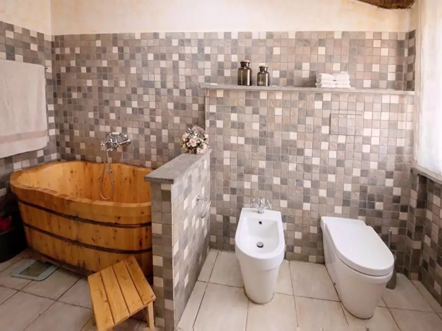 Immagine 32 di Casa colonica in vendita  a Fauglia