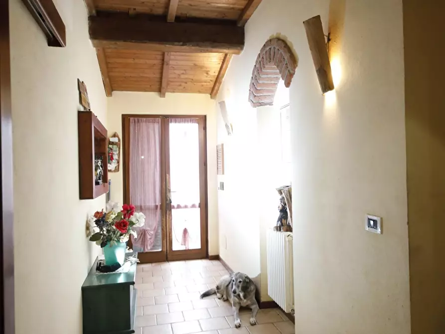 Immagine 23 di Casa colonica in vendita  a Fauglia