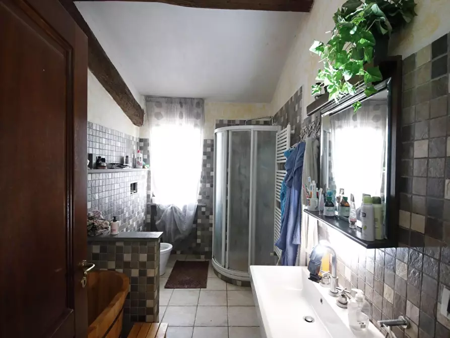 Immagine 34 di Casa colonica in vendita  a Fauglia