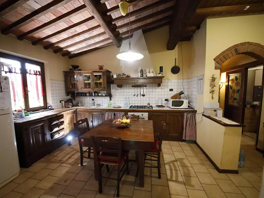 Immagine 12 di Casa colonica in vendita  a Fauglia