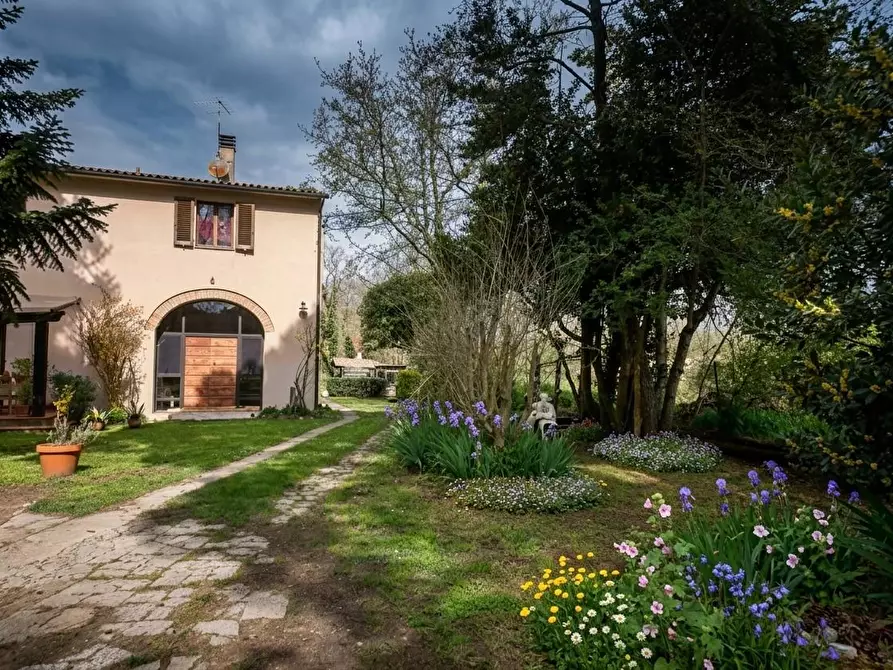 Immagine 3 di Casa colonica in vendita  a Fauglia