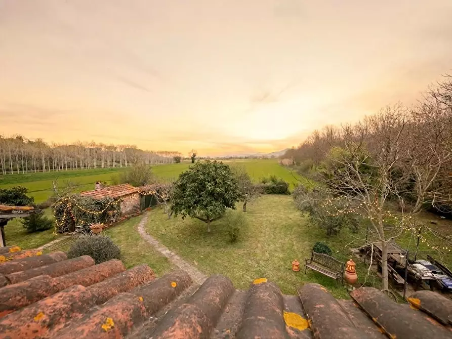 Immagine 5 di Casa colonica in vendita  a Fauglia
