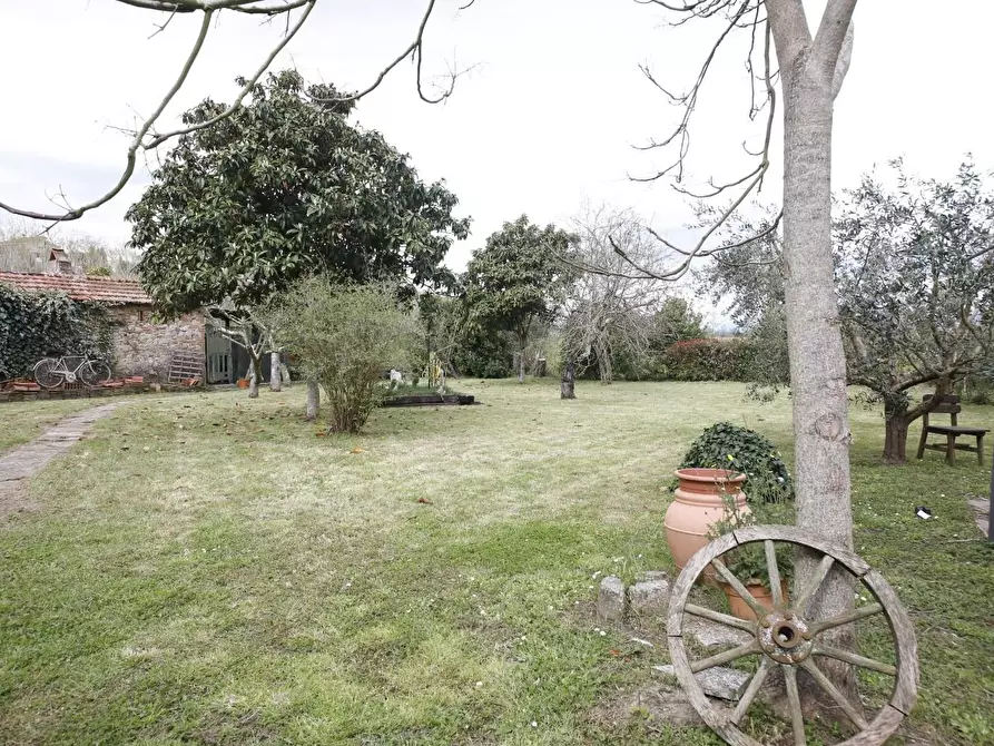 Immagine 37 di Casa colonica in vendita  a Fauglia