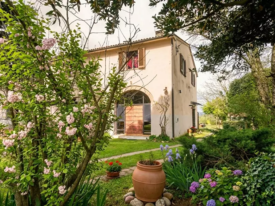 Immagine 2 di Casa colonica in vendita  a Fauglia