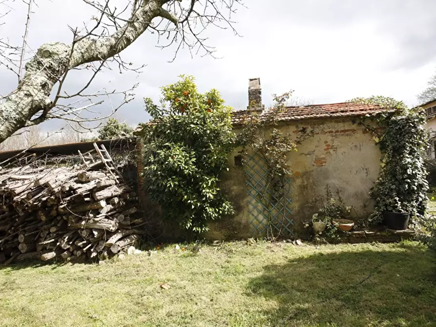 Immagine 40 di Casa colonica in vendita  a Fauglia