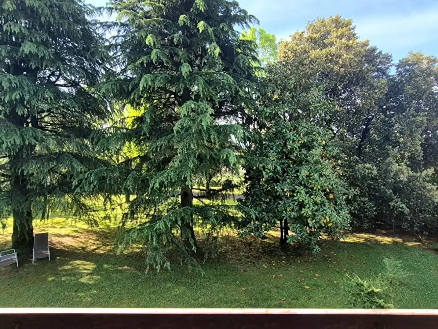 Immagine 27 di Casa bifamiliare in vendita  a Capannori