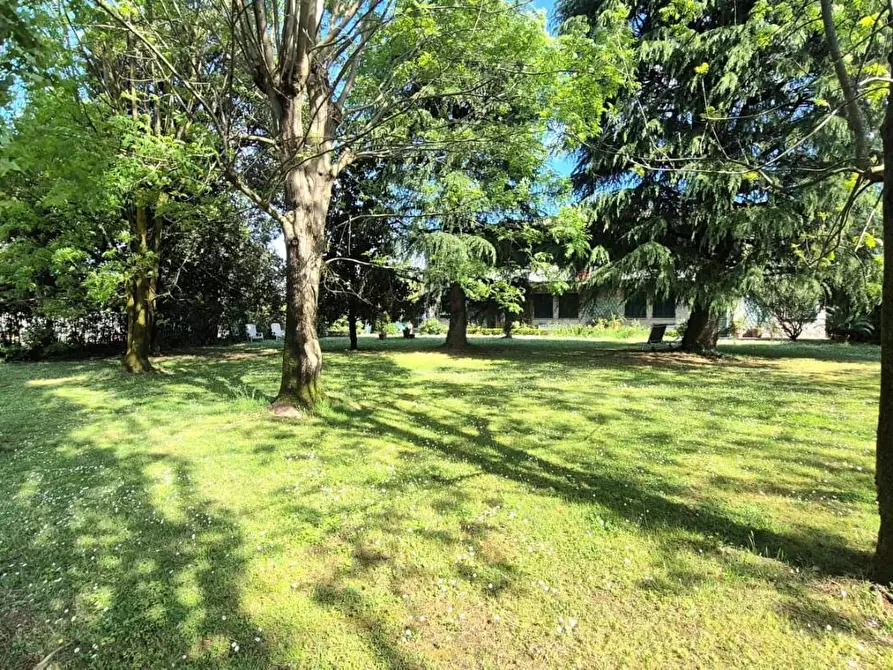 Immagine 5 di Casa bifamiliare in vendita  a Capannori
