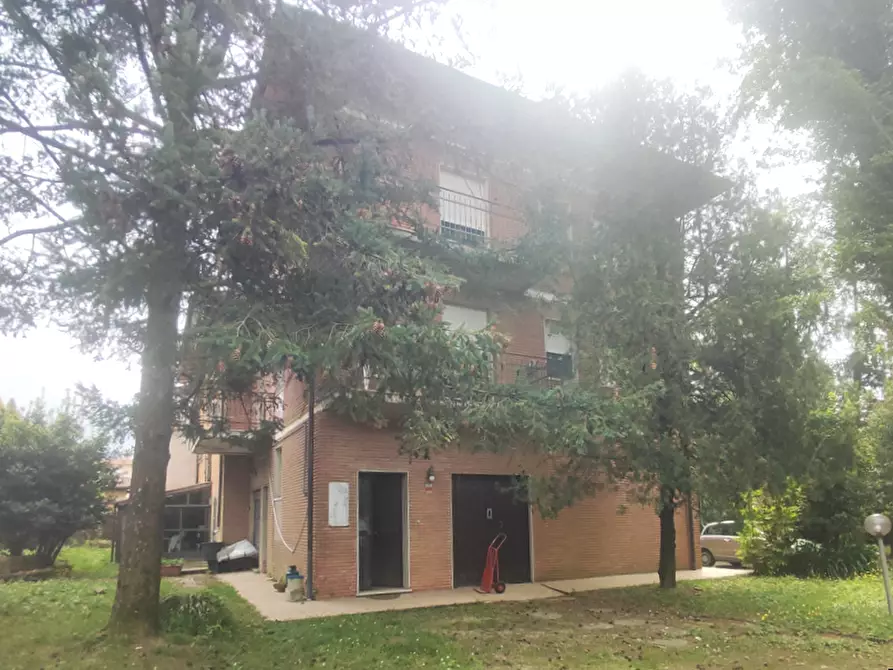 Immagine 2 di Appartamento in vendita  a Pietrasanta