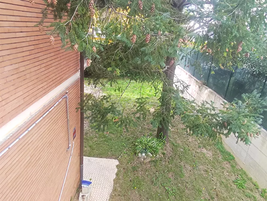 Immagine 6 di Appartamento in vendita  a Pietrasanta