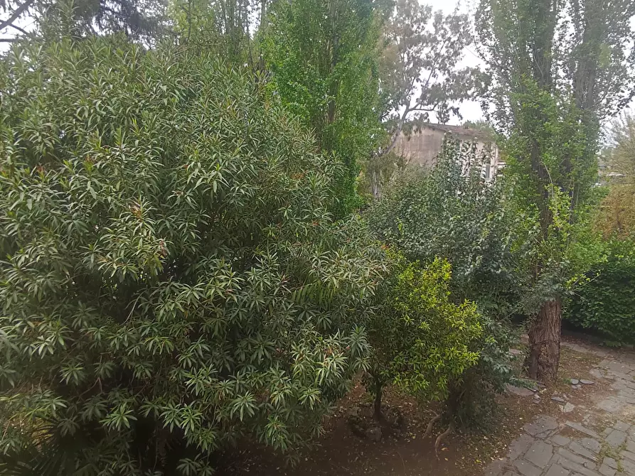 Immagine 7 di Appartamento in vendita  a Pietrasanta