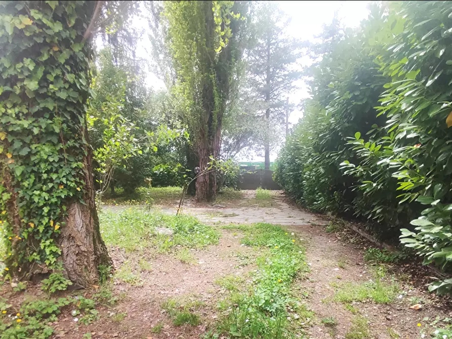 Immagine 4 di Appartamento in vendita  a Pietrasanta