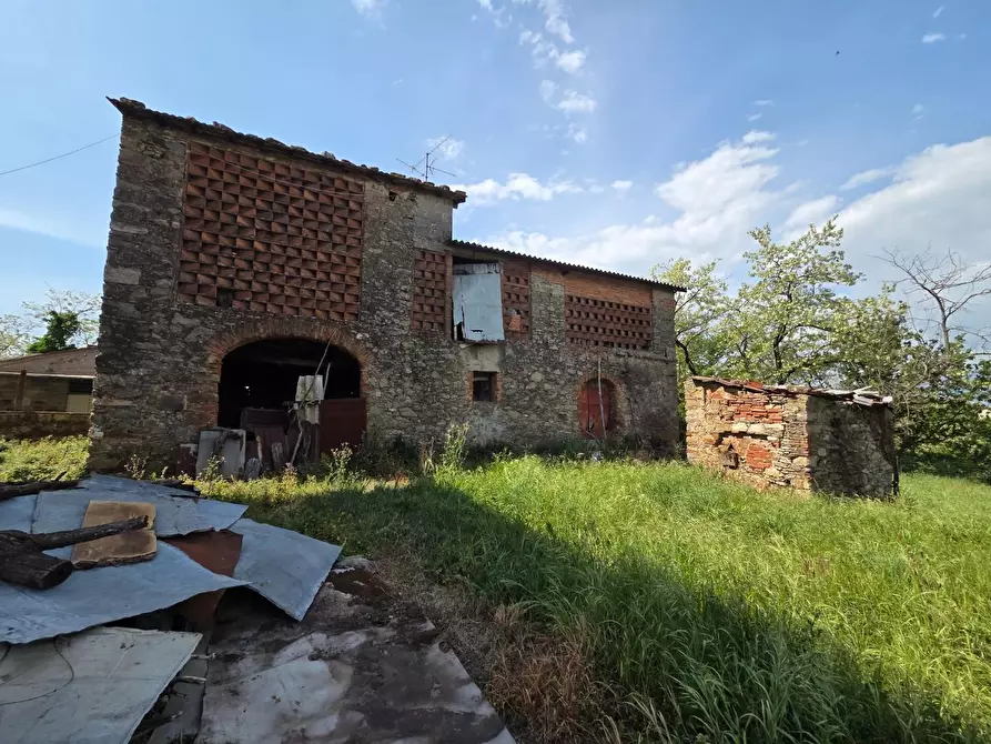 Immagine 8 di Casa colonica in vendita  a Capannori