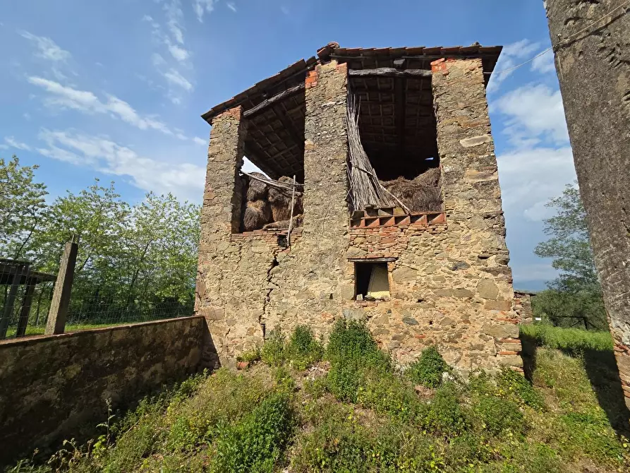 Immagine 7 di Casa colonica in vendita  a Capannori