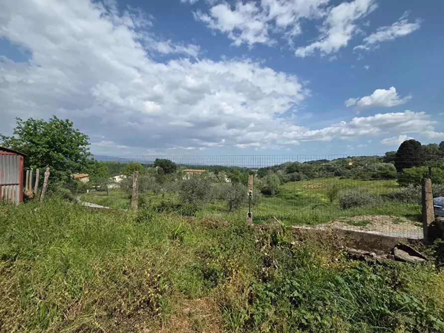 Immagine 37 di Casa colonica in vendita  a Capannori
