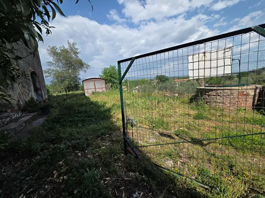 Immagine 17 di Casa colonica in vendita  a Capannori