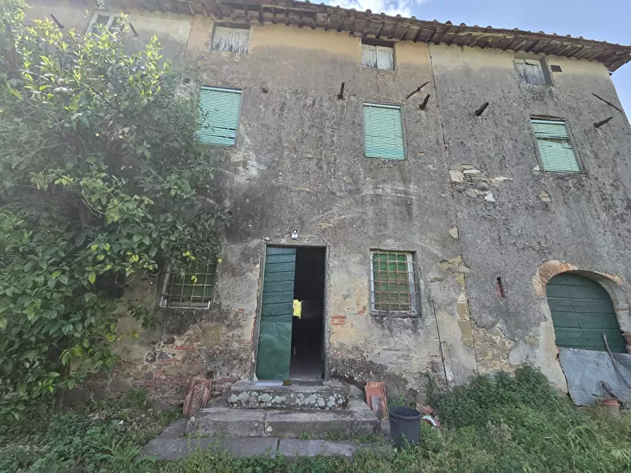 Immagine 18 di Casa colonica in vendita  a Capannori