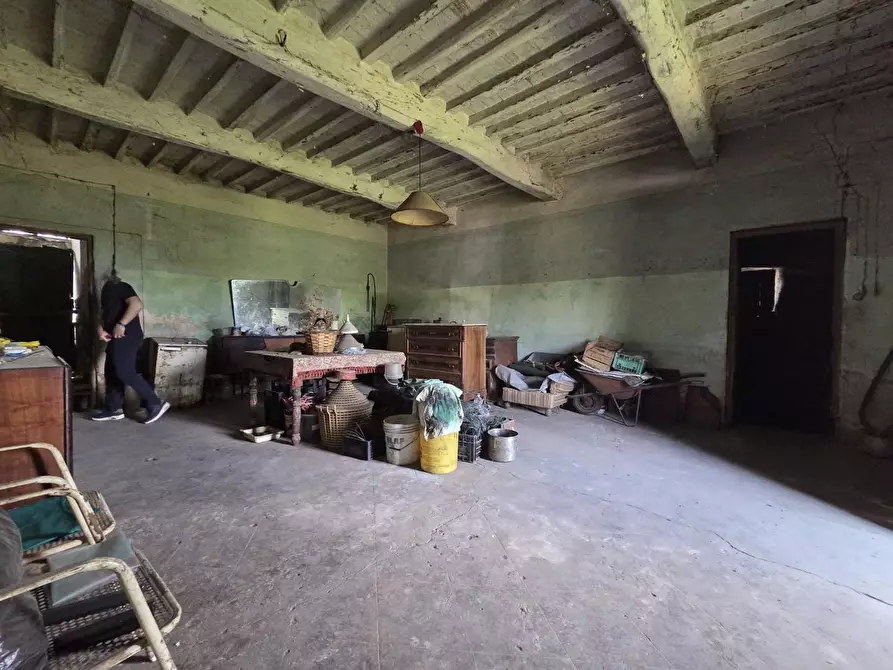 Immagine 21 di Casa colonica in vendita  a Capannori