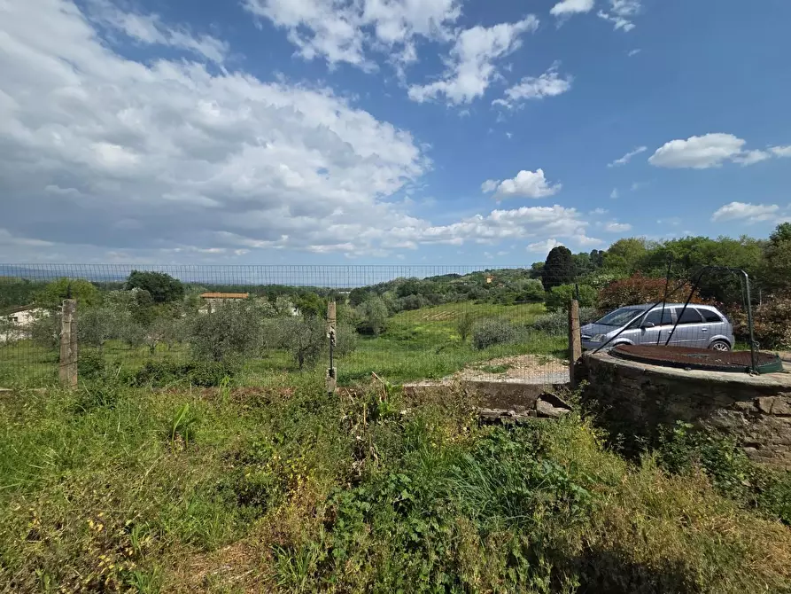 Immagine 36 di Casa colonica in vendita  a Capannori