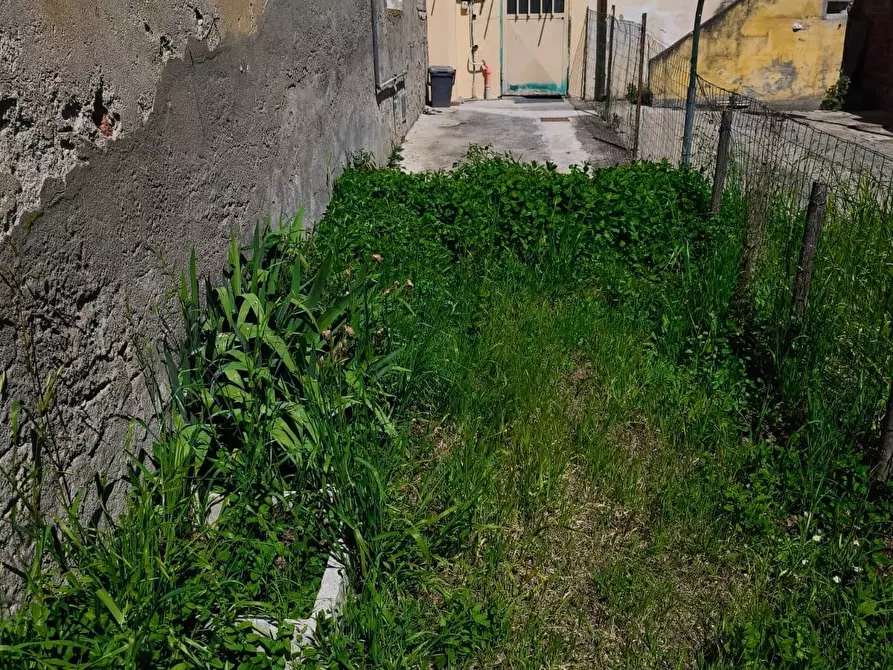 Immagine 8 di Appartamento in vendita  a Palaia