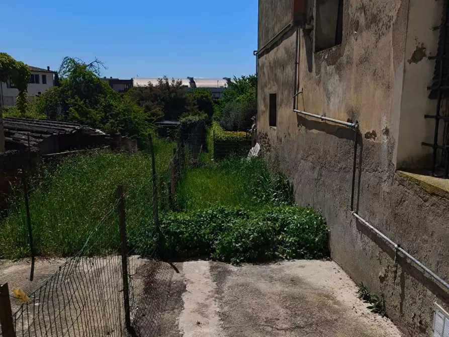Immagine 4 di Appartamento in vendita  a Palaia