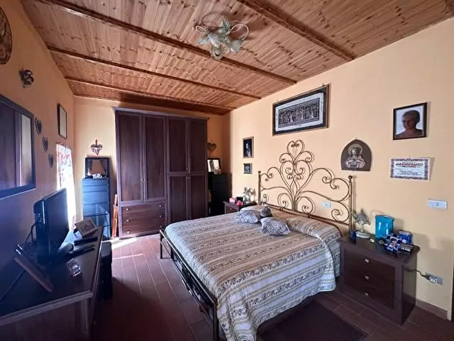 Immagine 12 di Terratetto in vendita  a Crespina Lorenzana