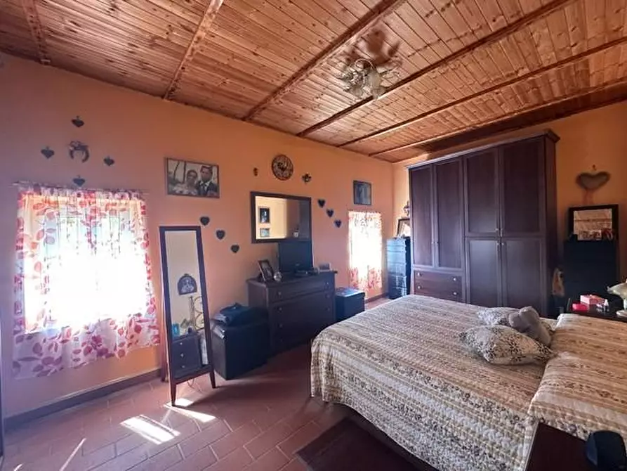 Immagine 9 di Terratetto in vendita  a Crespina Lorenzana