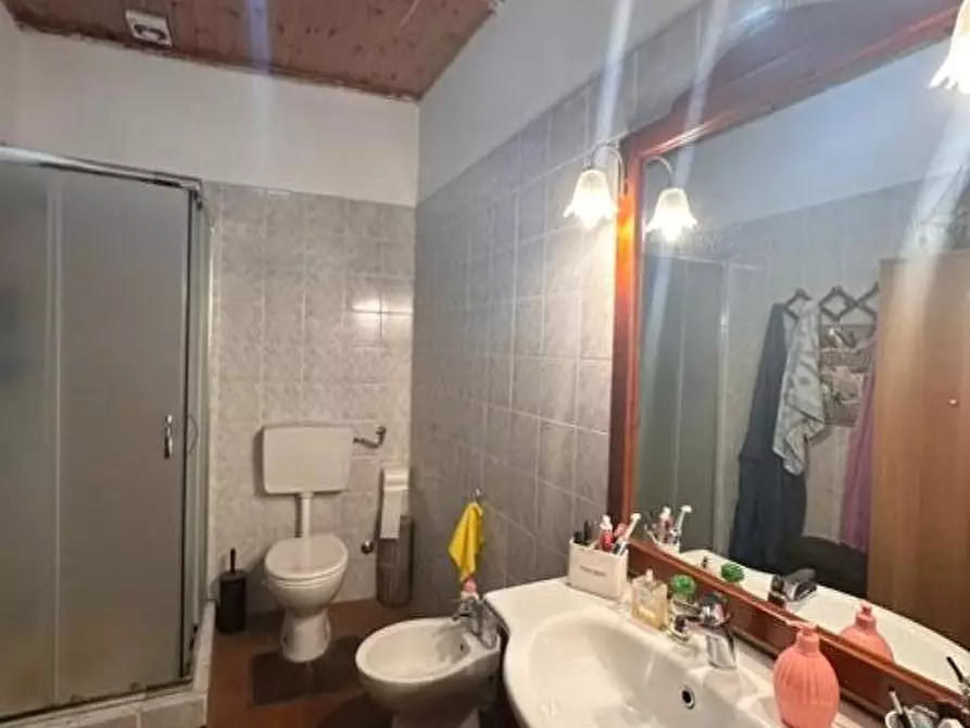 Immagine 13 di Terratetto in vendita  a Crespina Lorenzana