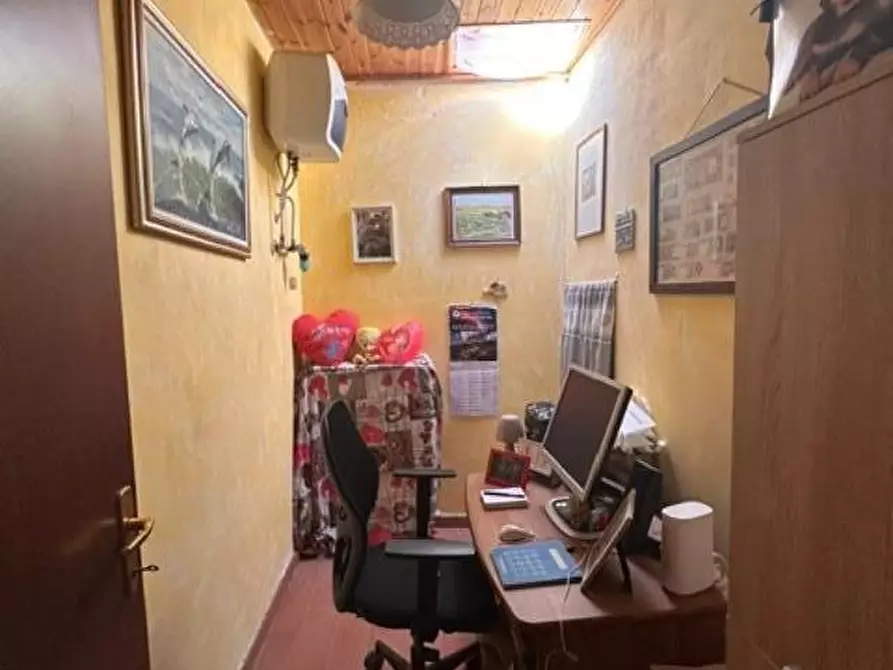 Immagine 15 di Terratetto in vendita  a Crespina Lorenzana