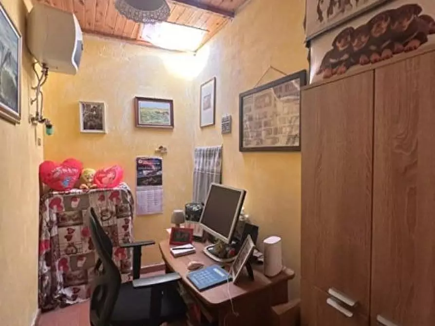 Immagine 14 di Terratetto in vendita  a Crespina Lorenzana