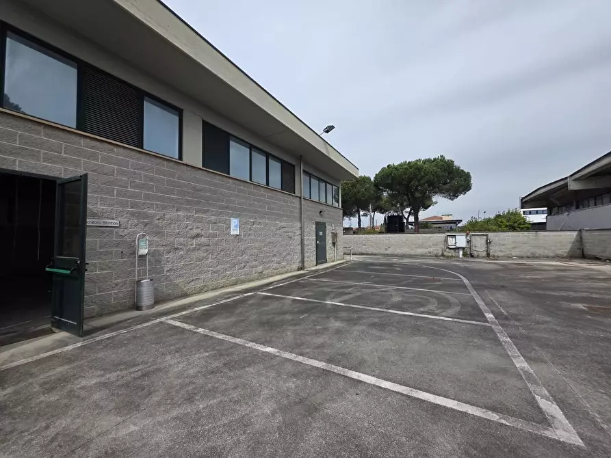 Immagine 2 di Capannone industriale in affitto  a Santa Croce Sull'arno