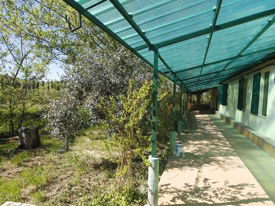 Immagine 2 di Appartamento in vendita  a Vinci