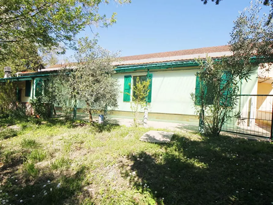 Immagine 16 di Appartamento in vendita  a Vinci