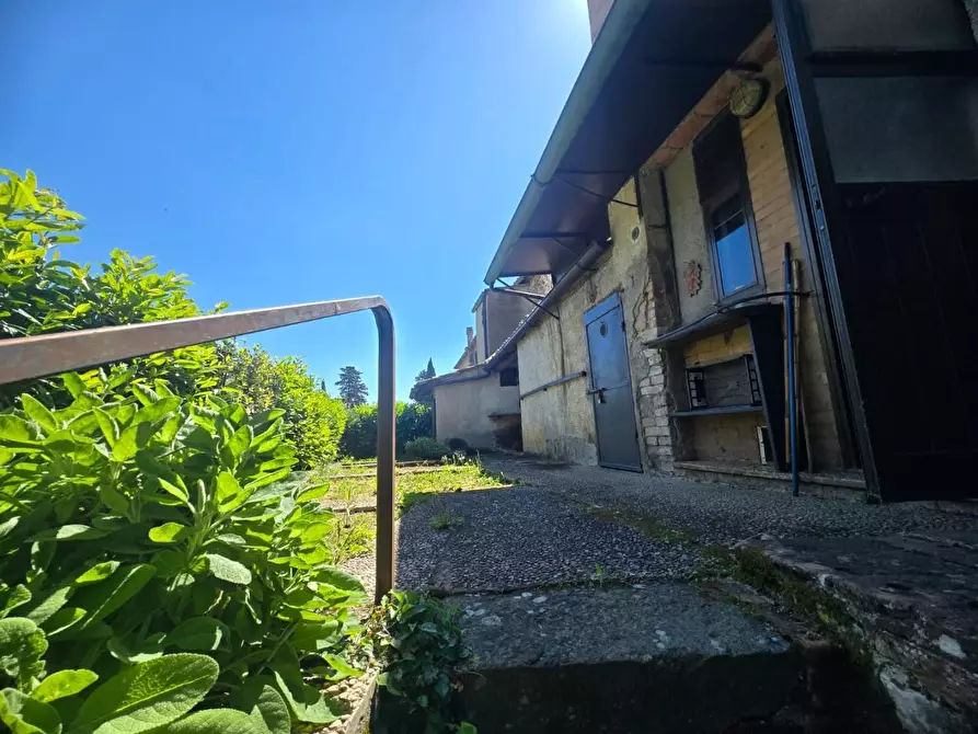 Immagine 2 di Appartamento in vendita  a Sovicille