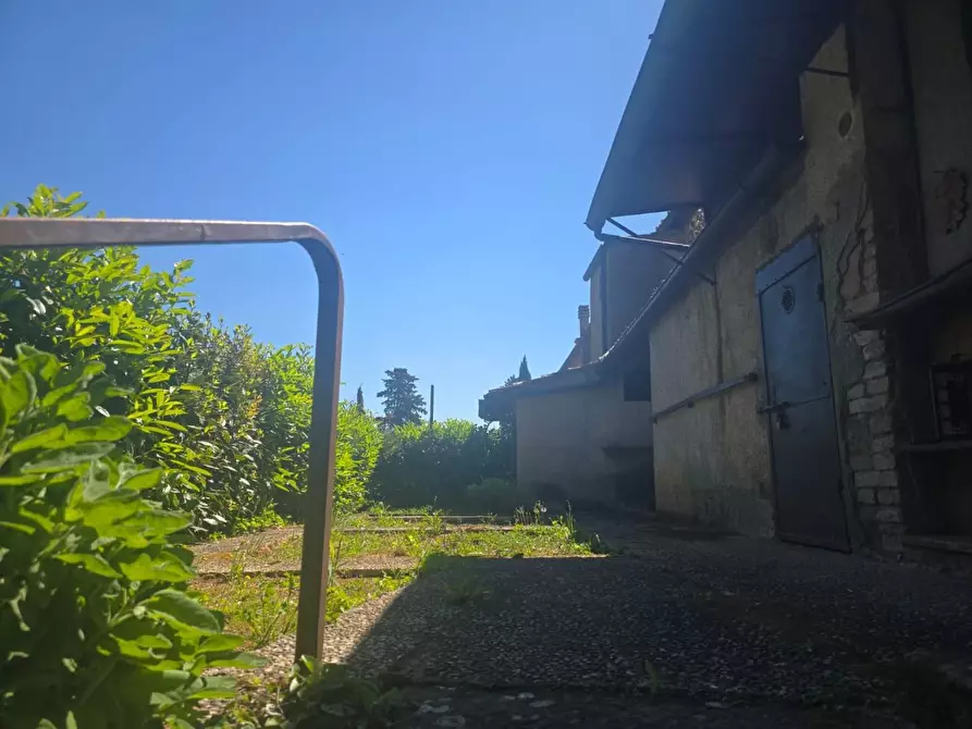 Immagine 5 di Appartamento in vendita  a Sovicille