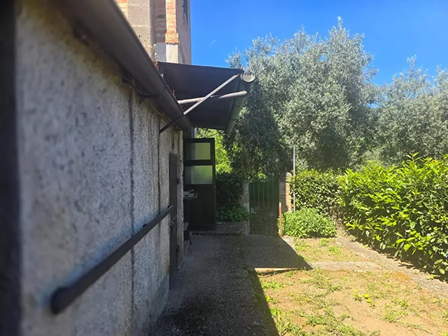 Immagine 4 di Appartamento in vendita  a Sovicille
