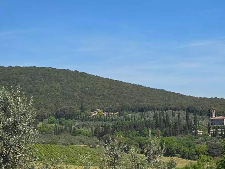 Immagine 11 di Appartamento in vendita  a Sovicille