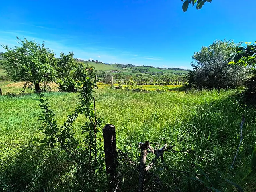 Immagine 14 di Appartamento in vendita  a Siena
