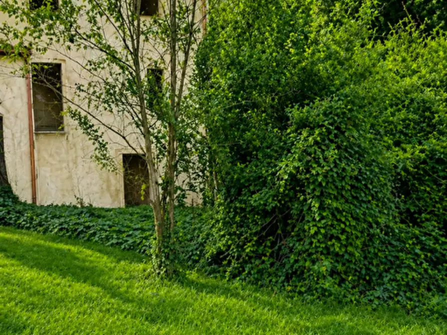 Immagine 2 di Casa colonica in vendita  a Calci