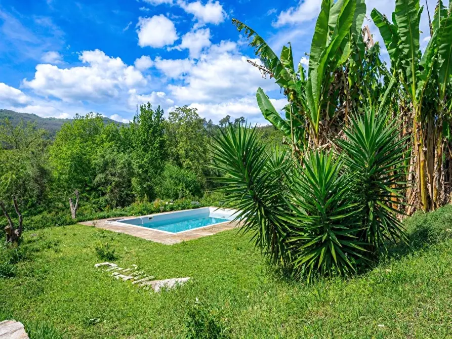 Immagine 4 di Casa semindipendente in vendita  a Tresana