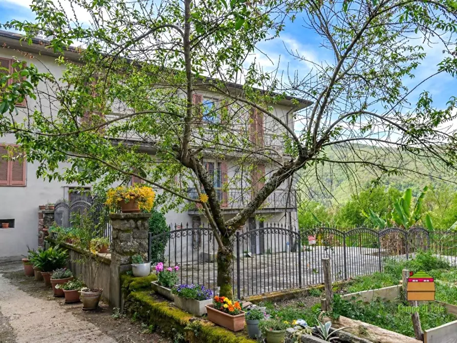 Immagine 1 di Casa semindipendente in vendita  a Tresana