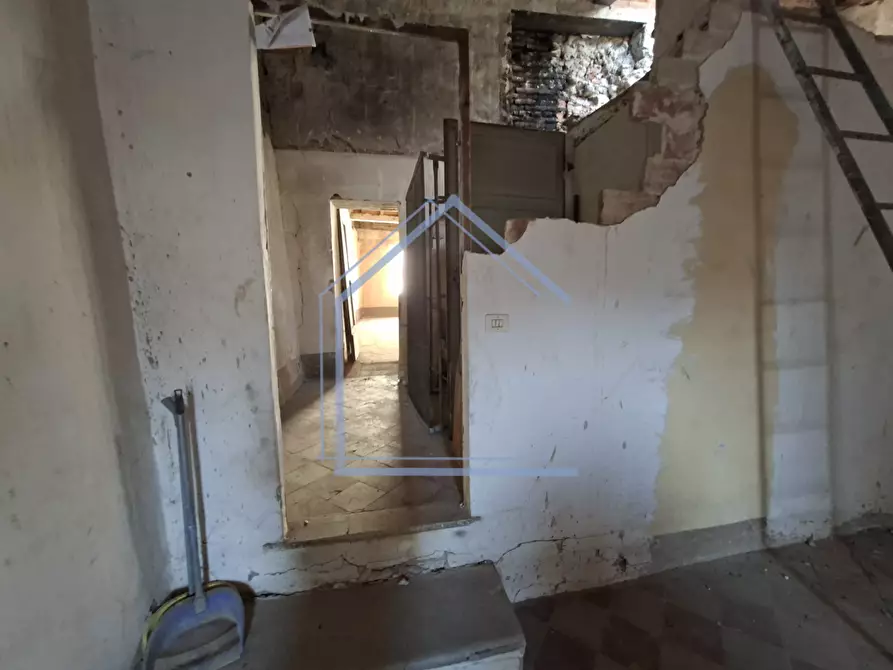 Immagine 9 di Terratetto in vendita  a Camaiore