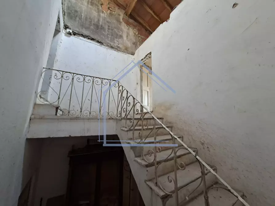Immagine 11 di Terratetto in vendita  a Camaiore