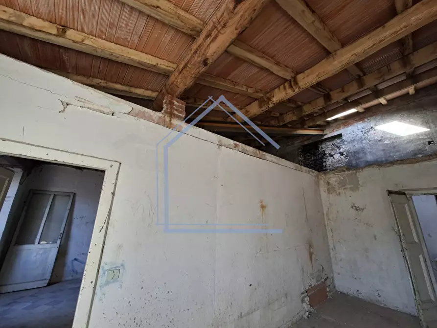 Immagine 4 di Terratetto in vendita  a Camaiore